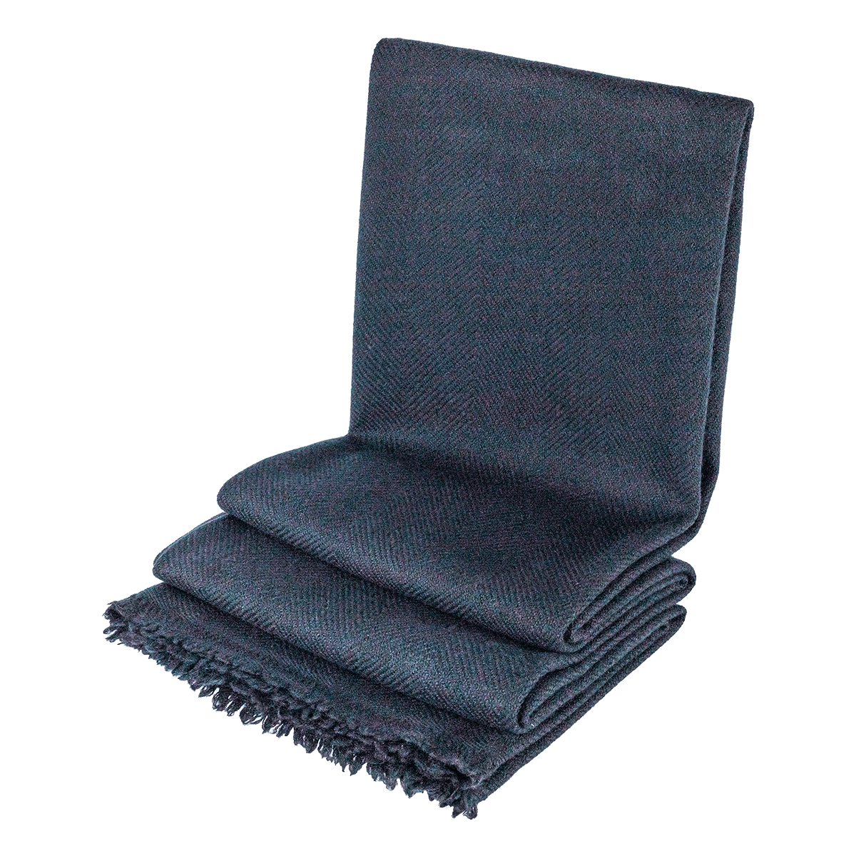 B419-38 black beauty