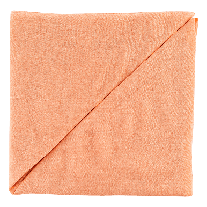 B419-57 peachy keen 2